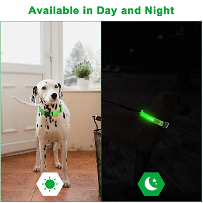 GlowGuardian Dog Collar