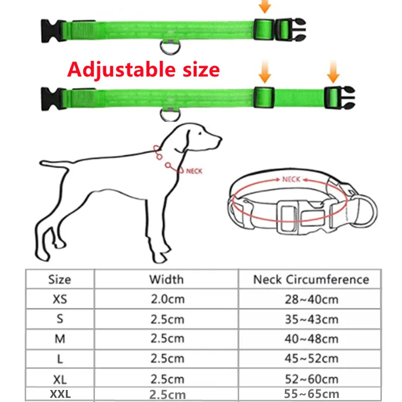 GlowGuardian Dog Collar