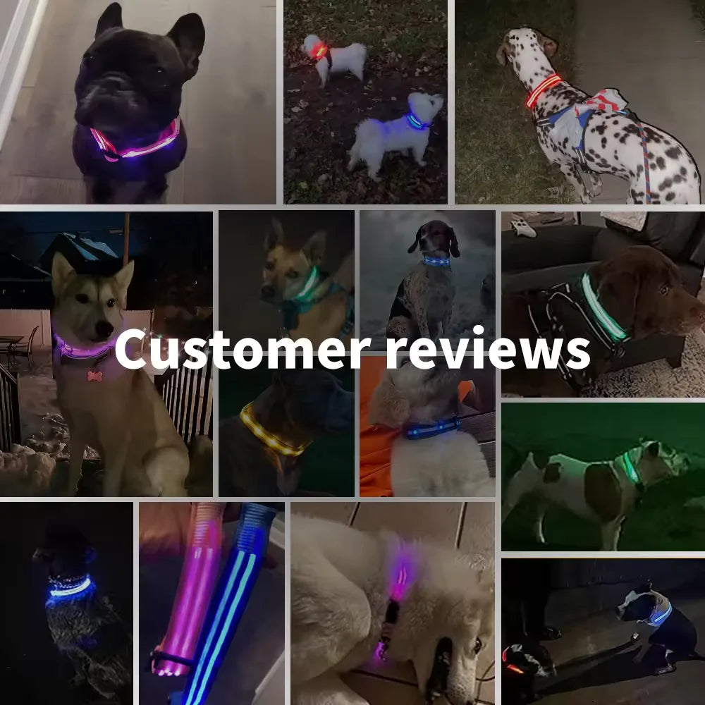 GlowGuardian Dog Collar