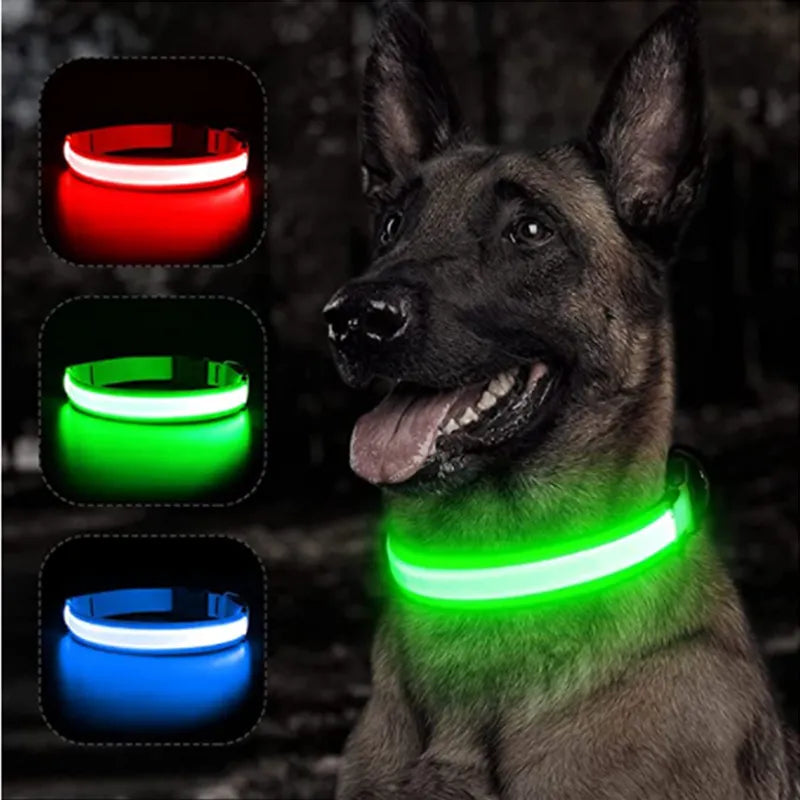 GlowGuardian Dog Collar